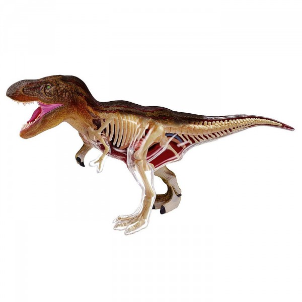Kit anatomie X-Ray : Tyrannosaure Rex - Revell-02091