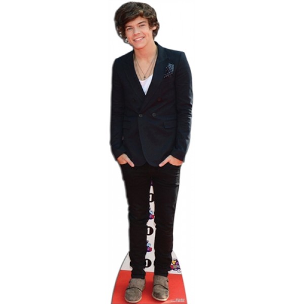 Figurine géante Harry - One direction - CS573