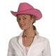 Miniature Chapeau Cowboy du Far West Rose