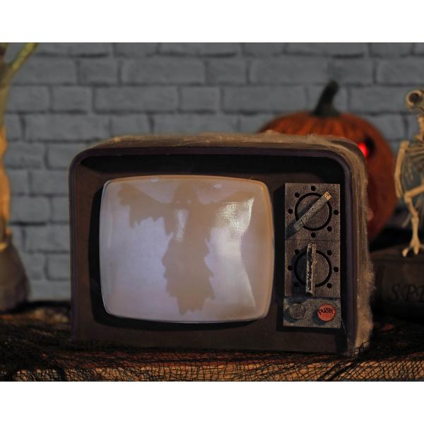 Décoration Halloween - Télévision Avec Détecteur De Mouvement Son Et Lumière - 66715