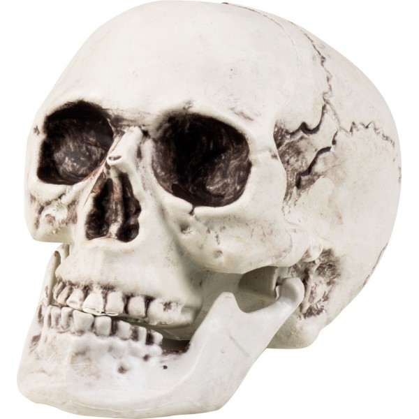 Décoration d'Halloween - Crâne en Plastique - Art de la table - Rue de