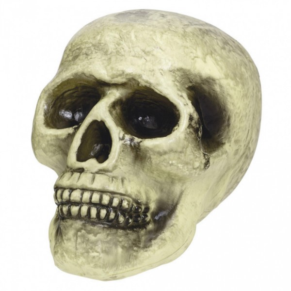Décoration Crâne En Plastique - 677136
