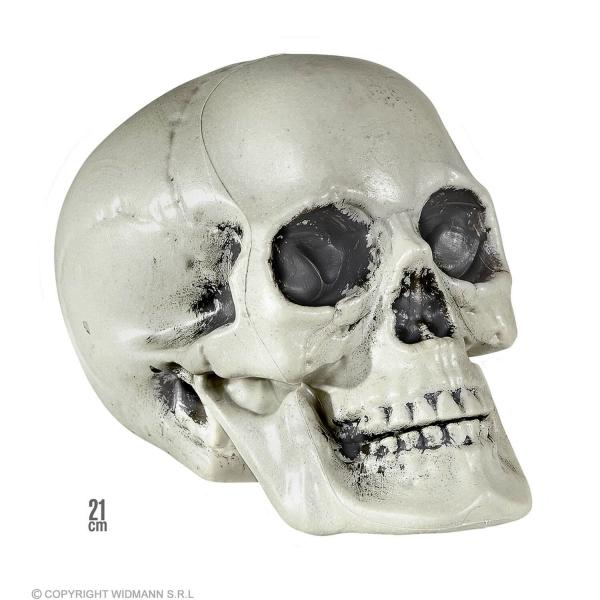 Crâne décoratif - 21 cm - 1379