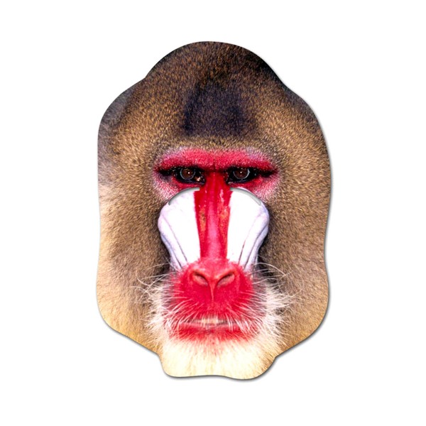 Masque Carton - Gibbon - M-GIB