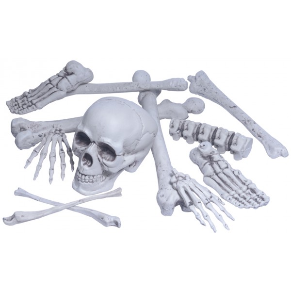 Décoration Squelette - Halloween - GU78176