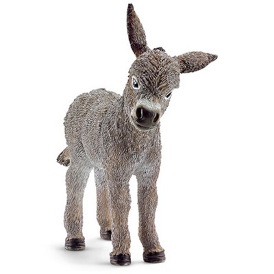 Ane de Schleich
