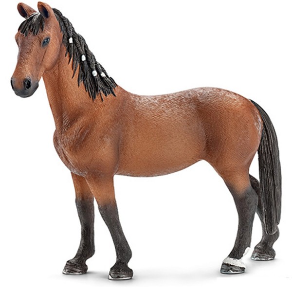 Figurine cheval : Jument Trakehnen - Schleich-13757