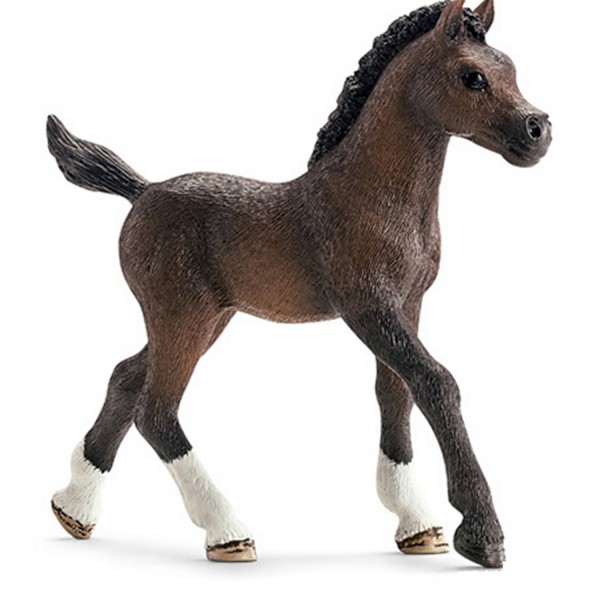 Figurine cheval : Poulain Arabe - Schleich-13762