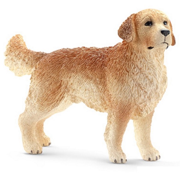 Figurine chien : Golden Retriever mâle - Schleich-16394
