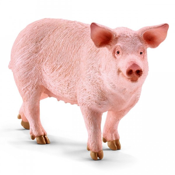 Figurine cochon domestique - Schleich-13782