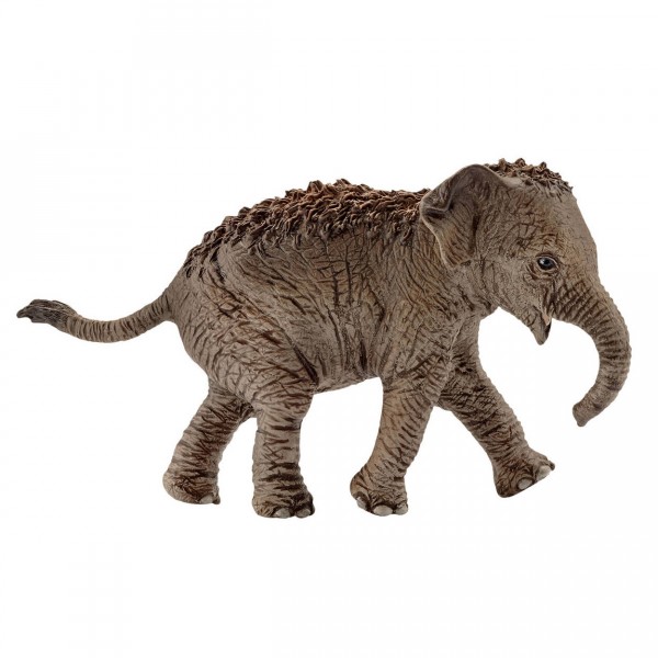 Figurine Eléphant d'Asie : Éléphanteau - Schleich-14755