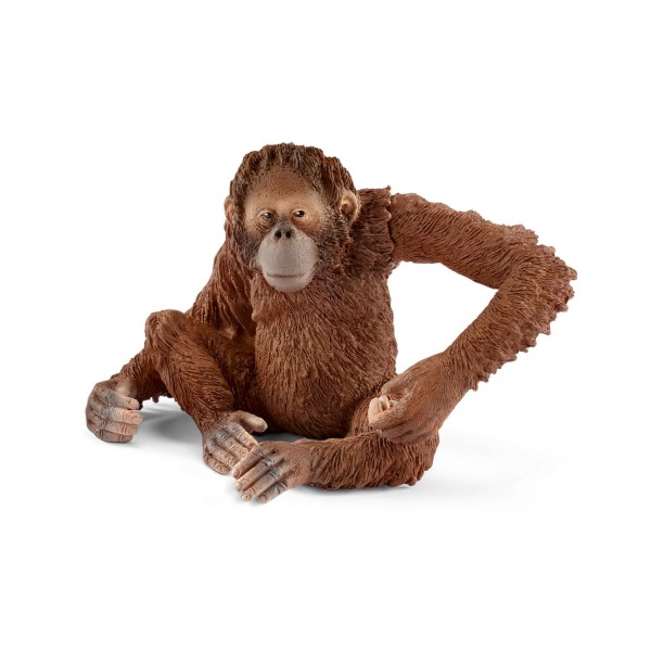Figurine singe : Orang-outan, femelle - Schleich-14775