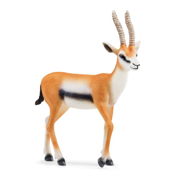 Figurine Wild Life : Gazelle de Thomson - Schleich-14861