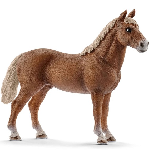 Figurine cheval : Étalon Morgan - Schleich-13869