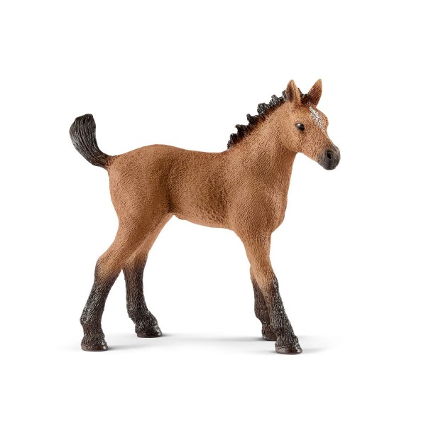 Figurine cheval : Poulain Quarter horse - Schleich-13854