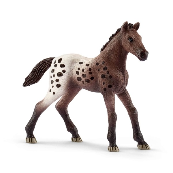 Figurine poulain Appaloosa - Schleich-13862