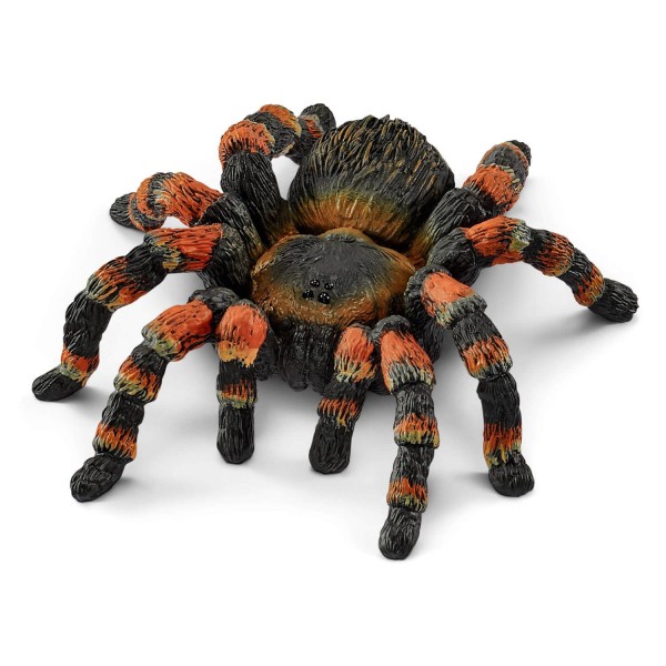 Figurine araignée : Mygale - Schleich-14829
