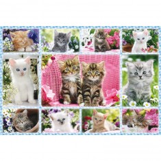 100 pieces puzzle: Kittens