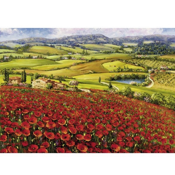 Puzzle 1000 pièces Sam Park : Coquelicots - Schmidt-58570