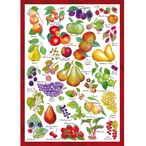 Puzzle de 1000 pièces : The countryside collection : Fruits - Schmidt-59569