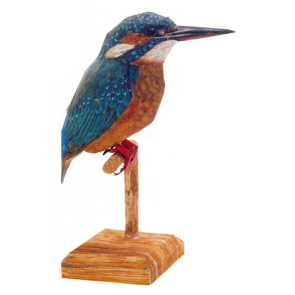 Maquette en carton : Oiseau : Martin-pêcheur - Schreiber-Bogen-A51