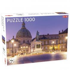 1000 Teile Puzzle: Schloss Amalienborg