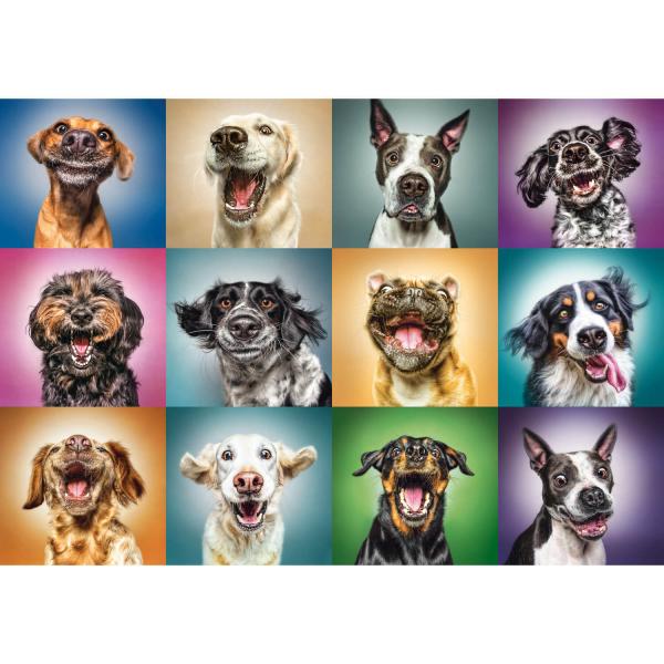 Puzzle 1000 pièces : Portraits de chiens rigolos - Trefl-10462