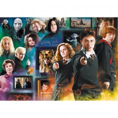 Puzzle 1000 pièces : Harry Potter - Le Monde des Sorciers