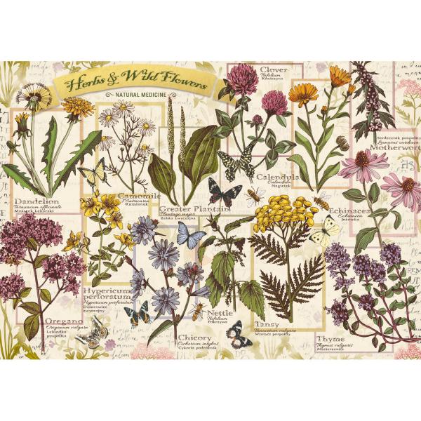 500 pieces Puzzle : Herbarium: Medicinal Herbs  - Trefl-37478