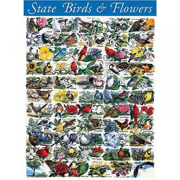 Puzzle 1000 pièces - Les oiseaux et les fleurs - White-140