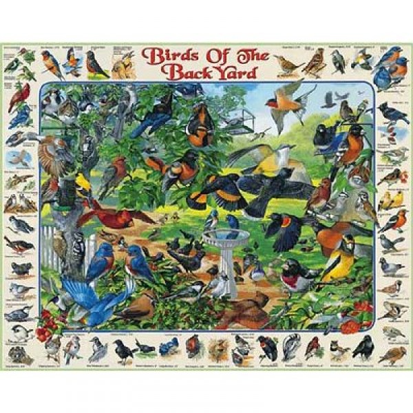 Puzzle 1000 pièces - Oiseaux des campagnes - White-267