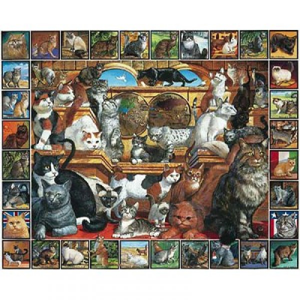 Puzzle 1000 pièces - Pêle mêle de chats - White-135