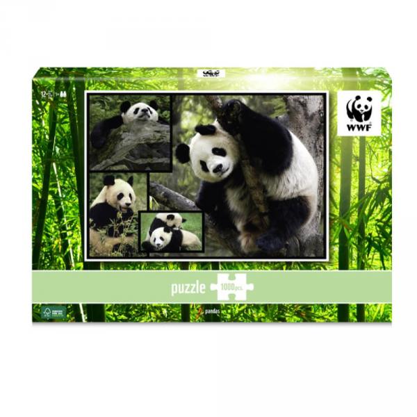 Puzzle 1000 pièces : Pandas  - WWF-57892