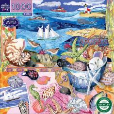 Puzzle de 1000 pièces : Coquillages au bord de la rive