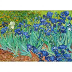Puzzle 1000 pieces : Vincent Van Gogh: Irises   