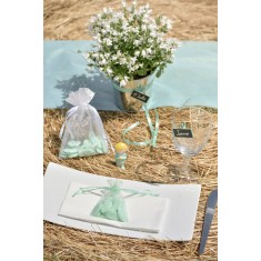 Sachets A Dragées Organdi - Menthe x 10