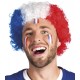 Miniature Perruque Afro Supporter France