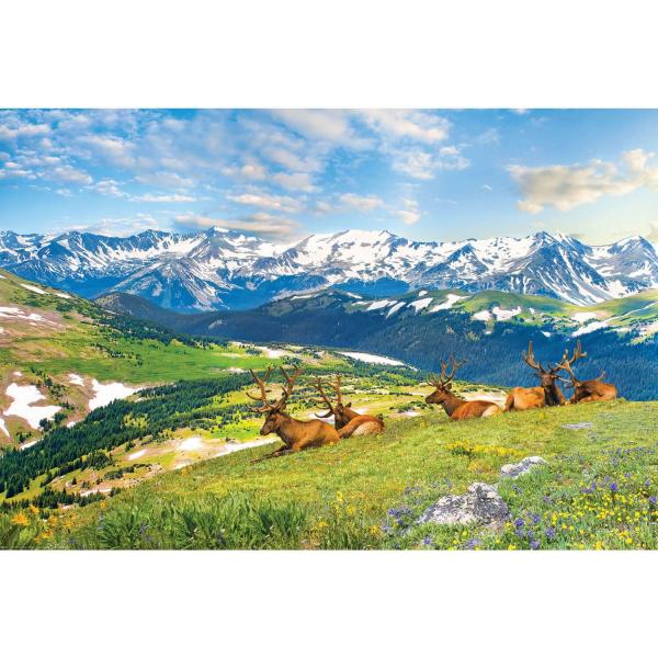 Puzzle 1000 pièces : Les élans de la montagne - EuroG-6000-5705
