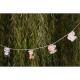 Miniature 5m-Banner – Explorer