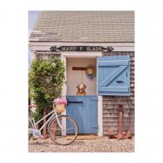 Livre Puzzle 1000 pièces : Grey Malin - Nantucket