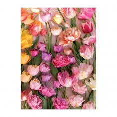 Puzzle 1000 pièces : Tulipes Ephémères