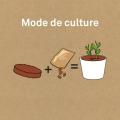 Miniature 6
