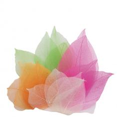 Real magnolia leaves 300 pcs