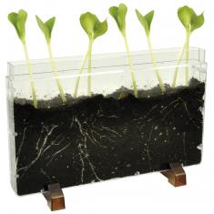 House for plant roots / worms