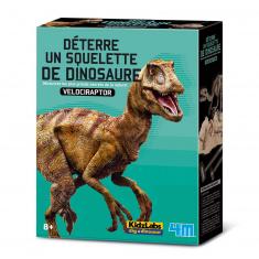 Desentierra a tu dinosaurio: Velociraptor