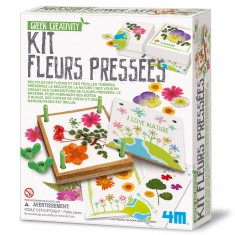 Grünes Kreativset: Gepresste Blumen