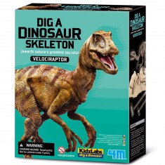Velociraptor Déterre ton Dinosaure Dig a dino