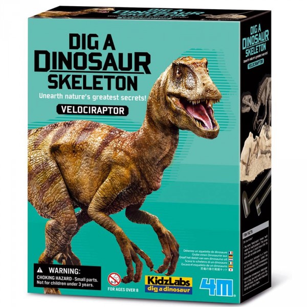 Velociraptor Déterre ton Dinosaure Dig a dino - Dam-5613234