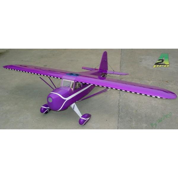 Rearwin Speedster 2.45m - purple Damier A2PRO - A2P-100402