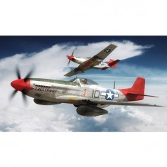 Maquette avion : North American P-51D Mustang